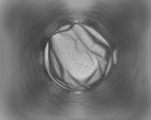 X0000051861443200507221844