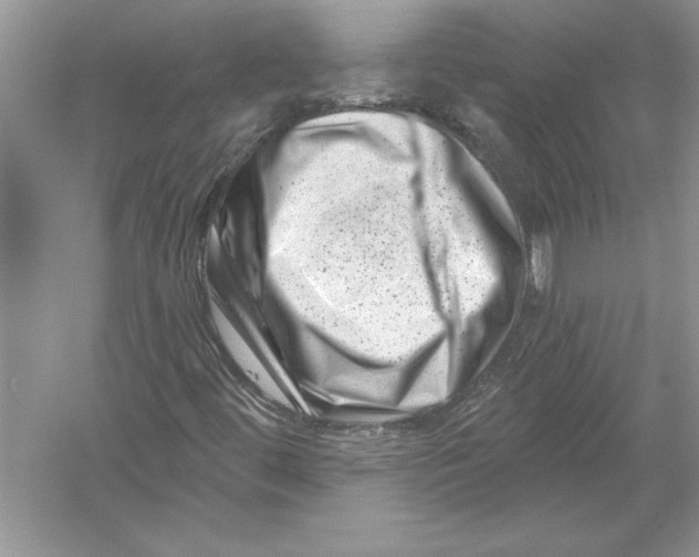 X0000051861444200507221844