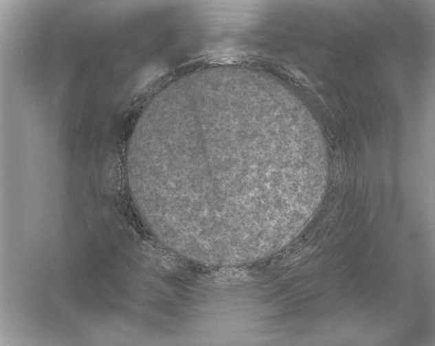 X0000051861446200507221844