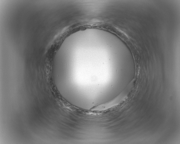 X0000051861447200507221844