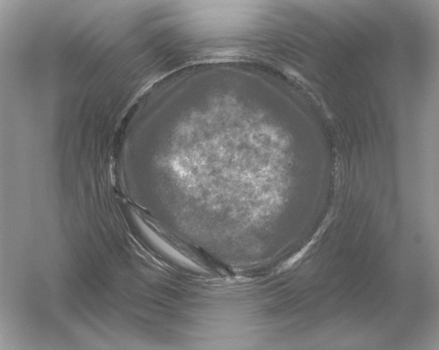 X0000051861449200507221844