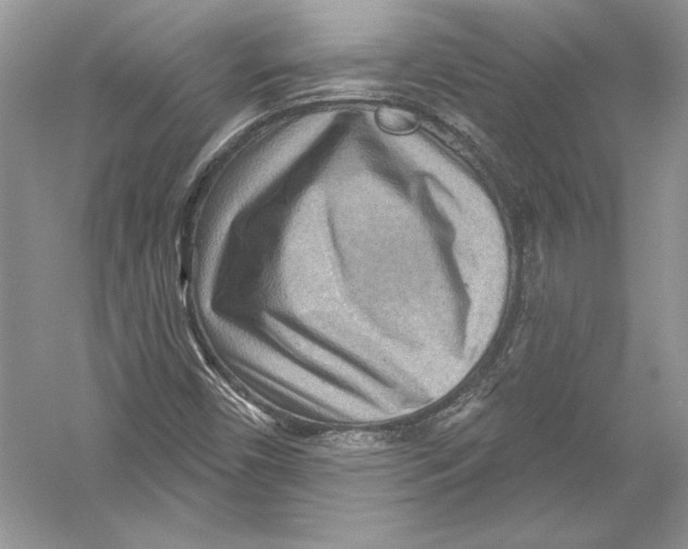 X0000051861450200507221844