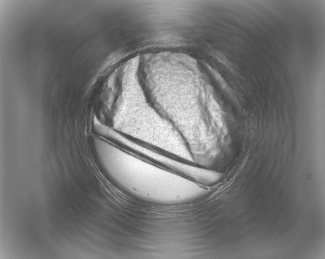 X0000051861451200507221844