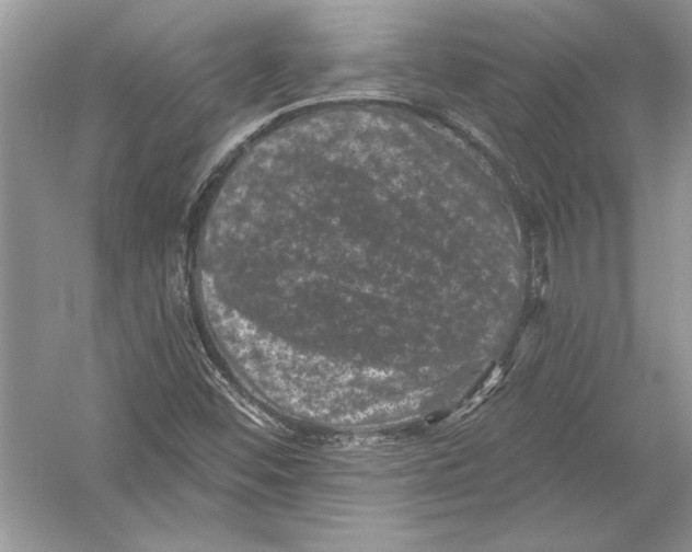 X0000051861452200507221844