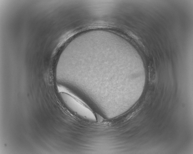 X0000051861453200507221844