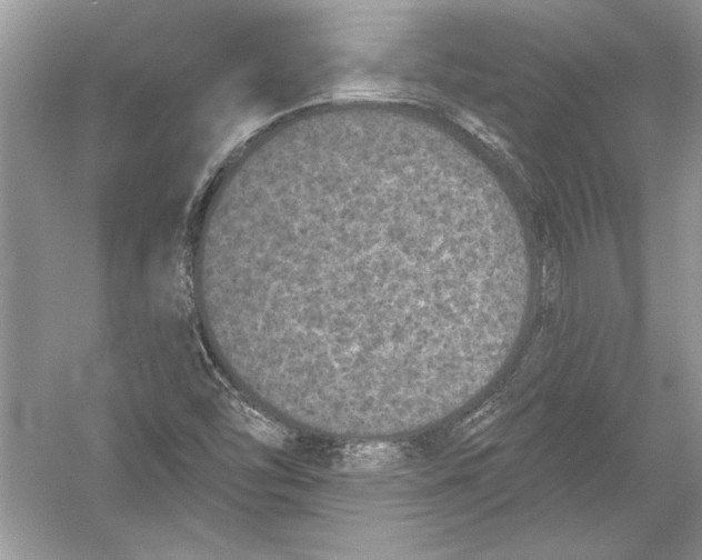 X0000051861454200507221844