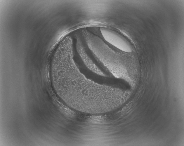 X0000051861455200507221844