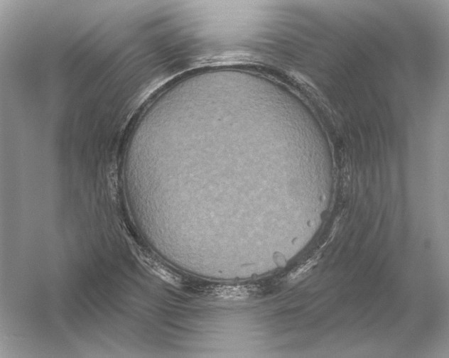 X0000051861457200507221844