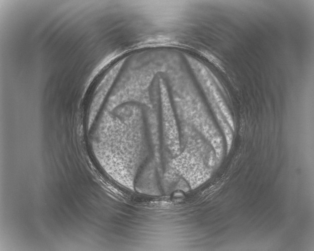 X0000051861458200507221844