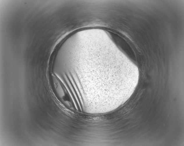 X0000051861460200507221844