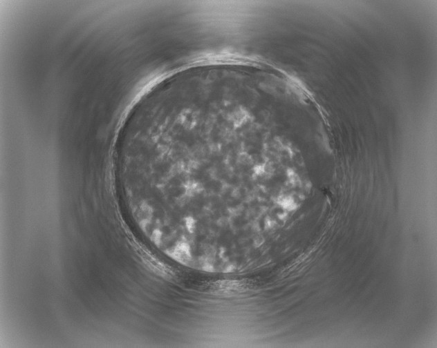 X0000051861463200507221844