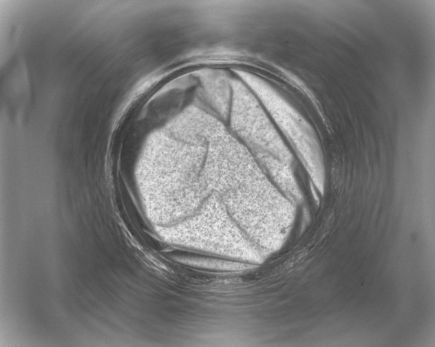 X0000051861464200507221844