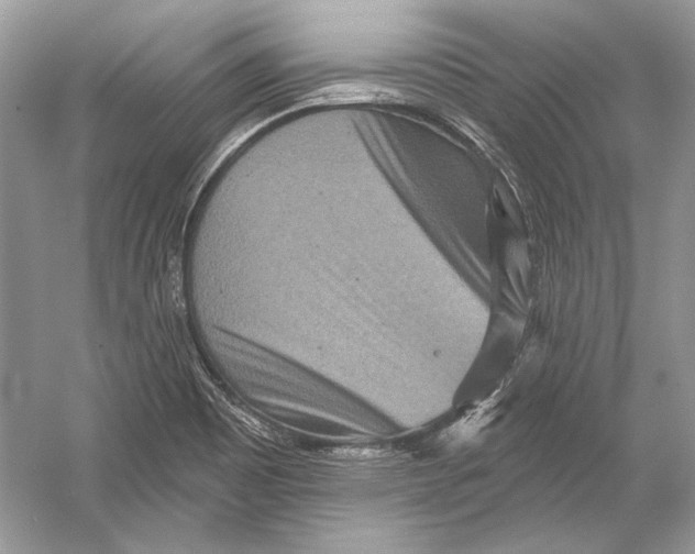 X0000051861465200507221844