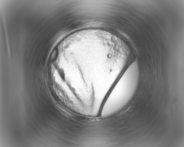 X0000051861467200507221844