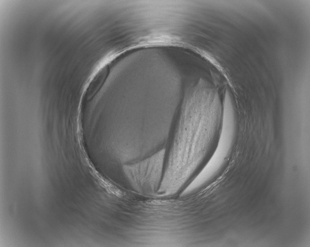 X0000051861469200507221844