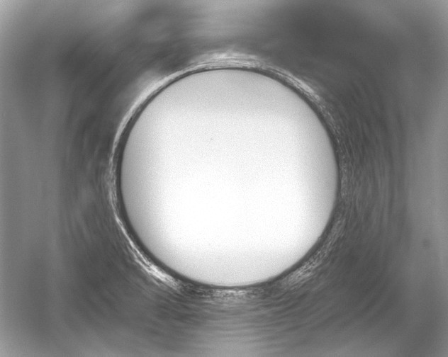 X0000051861470200507221844