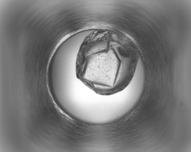 X0000051861471200507221844