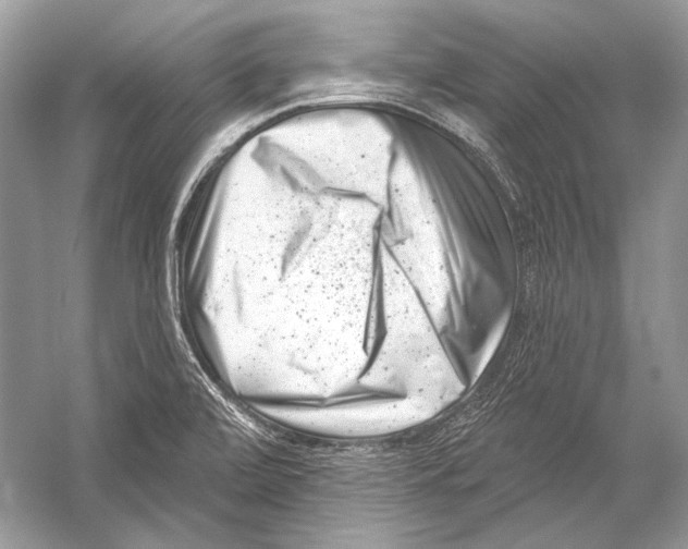 X0000051861472200507221844