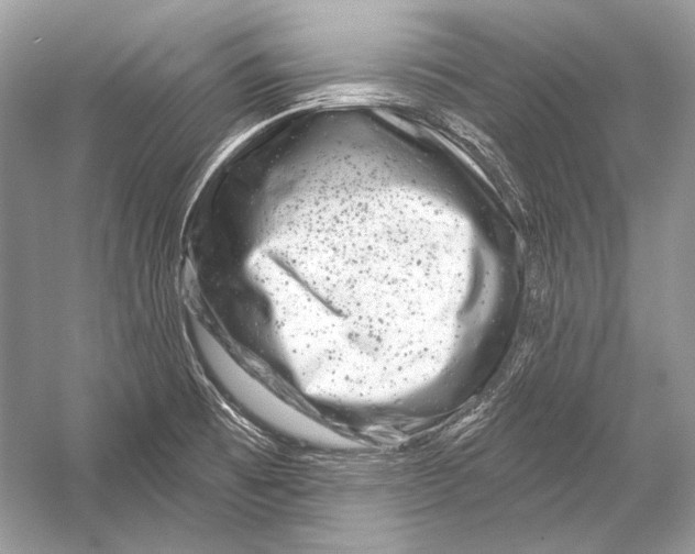 X0000051861473200507221844