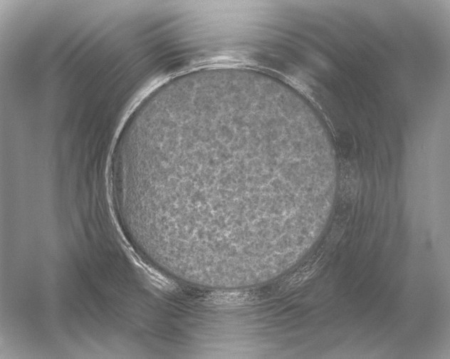 X0000051861474200507221844