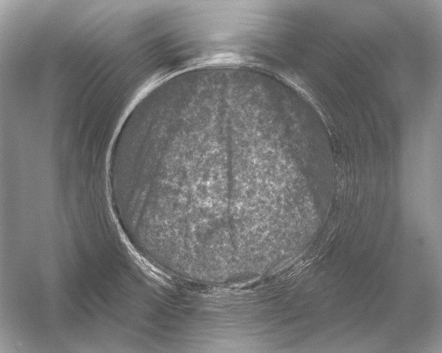 X0000051861475200507221844