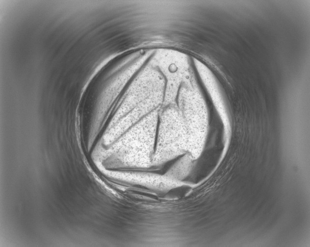 X0000051861476200507221844