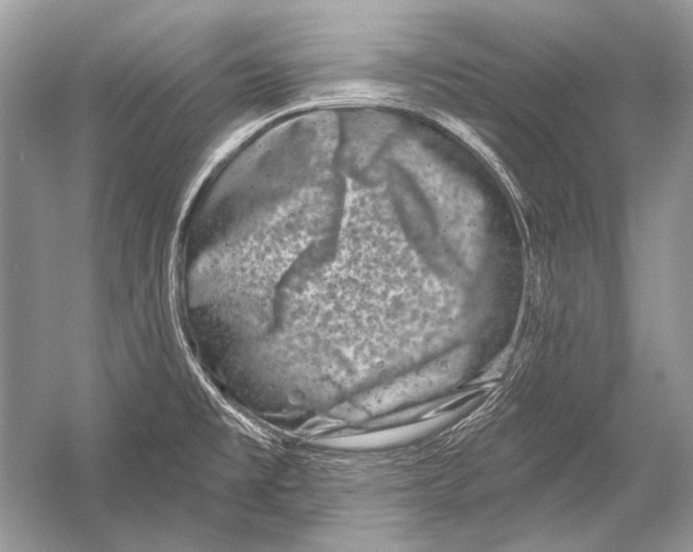 X0000051861477200507221844