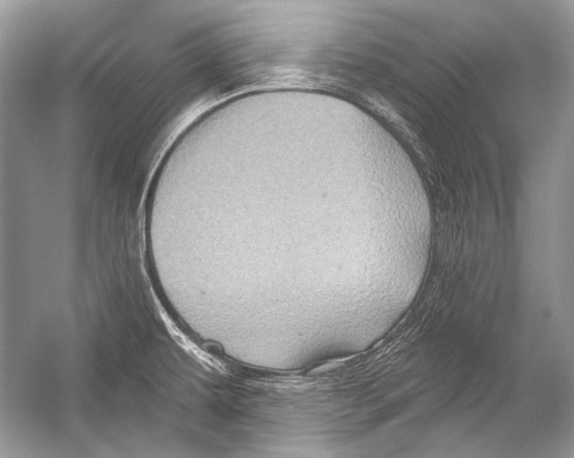 X0000051861479200507221844