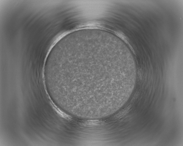 X0000051861482200507221844