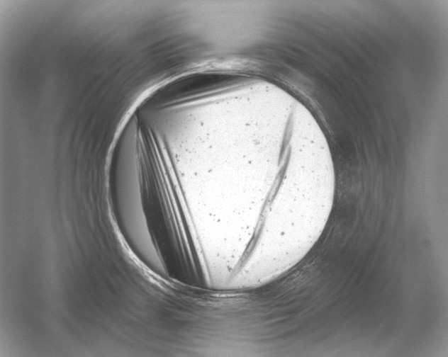 X0000051861483200507221844