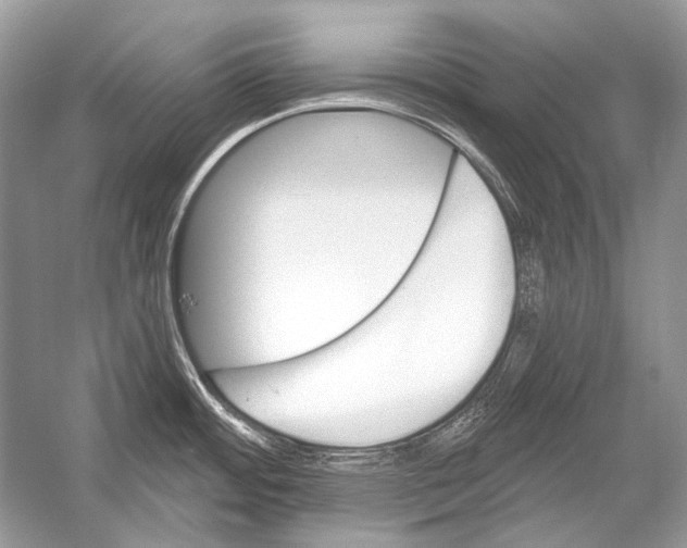 X0000051861484200507221844