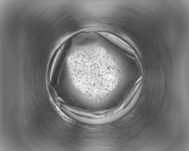 X0000051861485200507221844