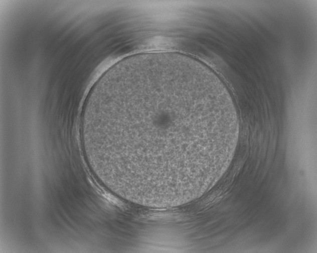 X0000051861486200507221844