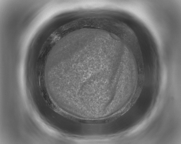 X0000051861487200507221844