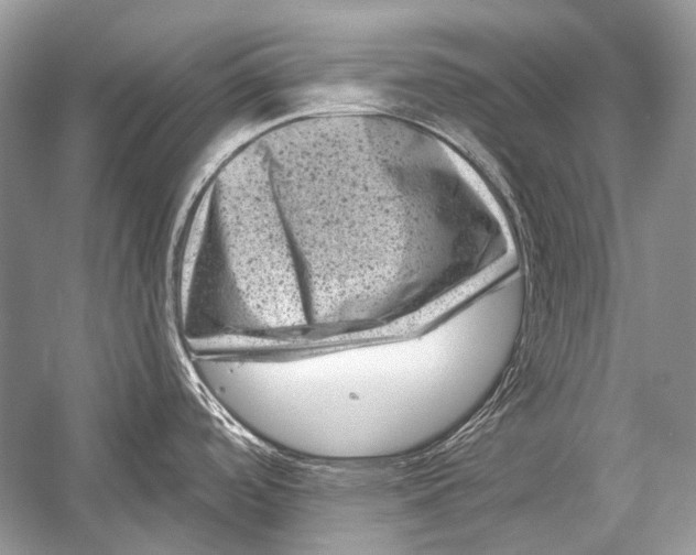 X0000051861488200507221844