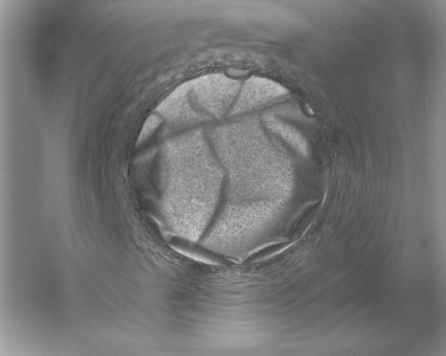 X0000051861489200507221843