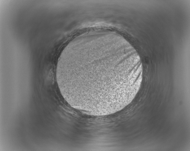 X0000051861493200507221843