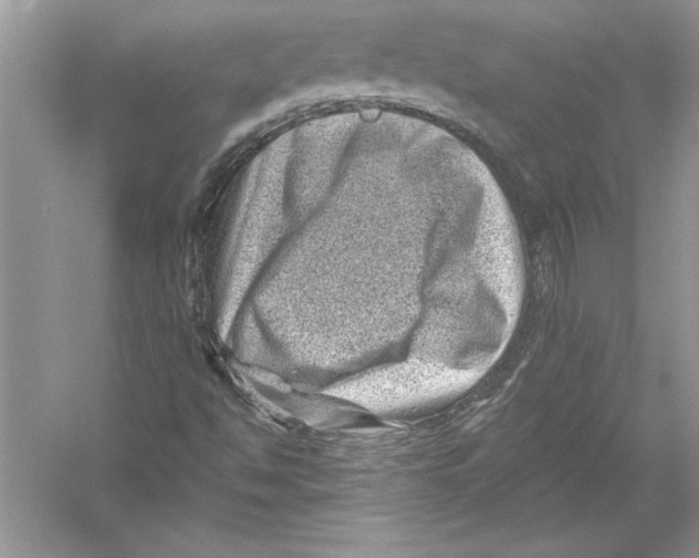 X0000051861494200507221843