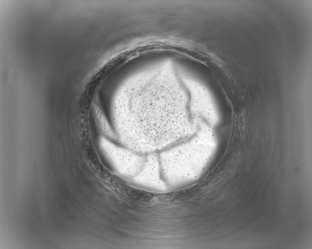 X0000051861496200507221843