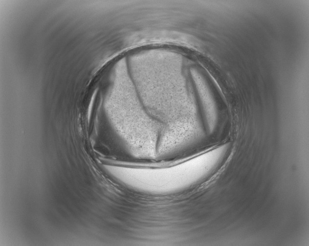 X0000051861497200507221843