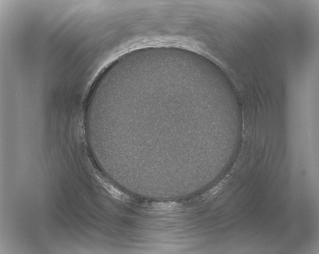 X0000051861498200507221843