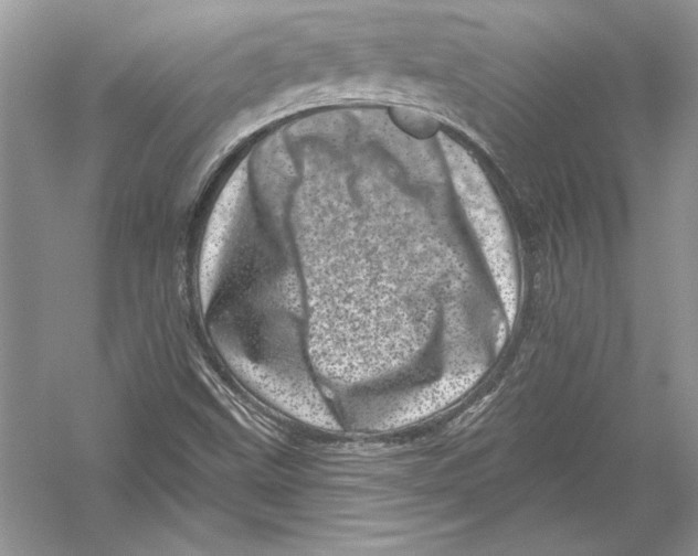 X0000051861499200507221843