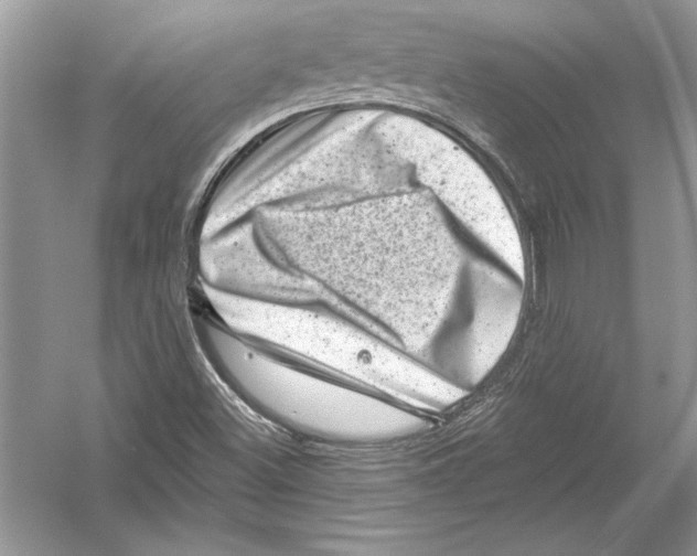 X0000051861500200507221843