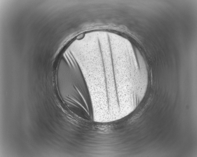 X0000051861501200507221843