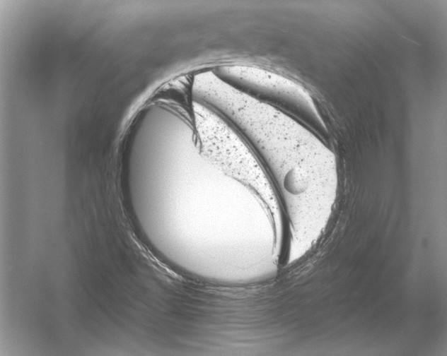 X0000051861502200507221843