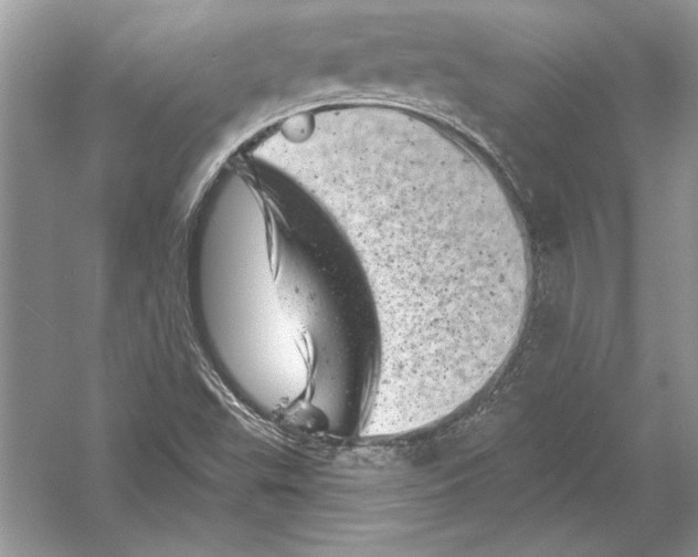 X0000051861503200507221843