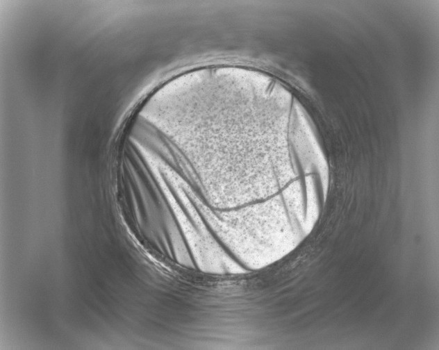 X0000051861504200507221843