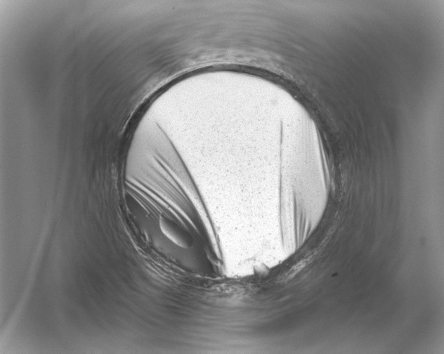 X0000051861505200507221843