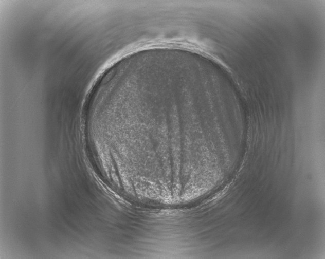 X0000051861506200507221843