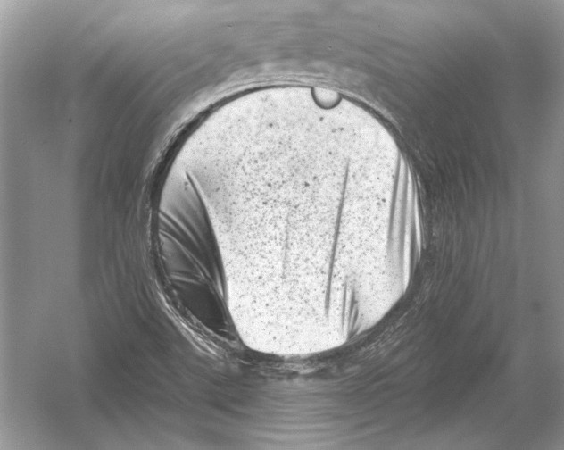 X0000051861507200507221843